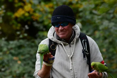 DSC_0483 (Large).JPG